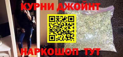 сатива Будённовск