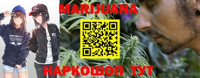 сатива Будённовск