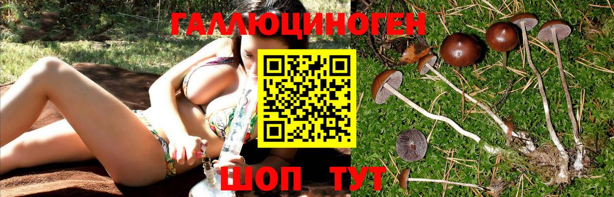 Елец  Псилоцибиновые грибы Cubensis  Вход с VPN 
