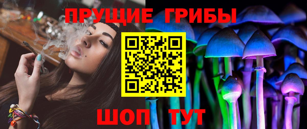 Псилоцибиновые грибы мицелий Елец